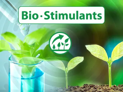 Bioethanol