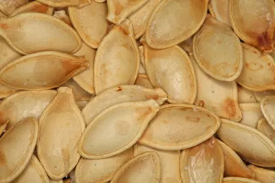 Pumpkin Seeds by Zenith Impex