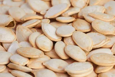 Pumpkin Seeds