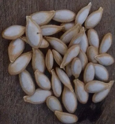 Tamrind Seed by S.suwansumrit (lom Kao) Co., Ltd.