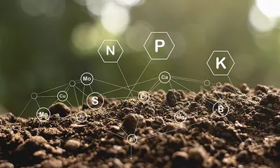 Biological Indicators