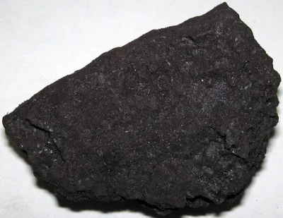 Coco Peat Pellet
