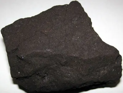 Enviro Coco Peat