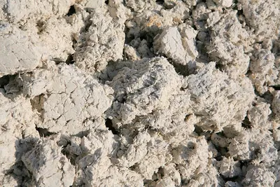 Limestone