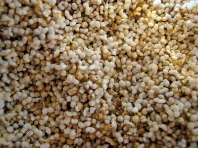 Sesame Seeds by Knd Prime Partners