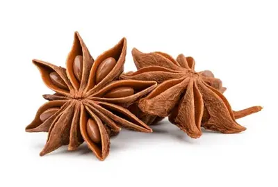 Anise seeds by Elmotmiz herbs Co.