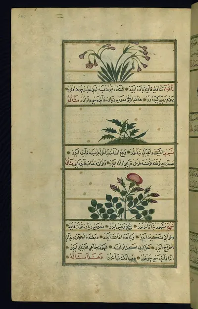 AB 1771-IBN