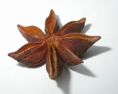Horse Chestnut, Leaf, Dried by Fito-export PE