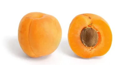 Dry Apricot by Schwitz Biotech