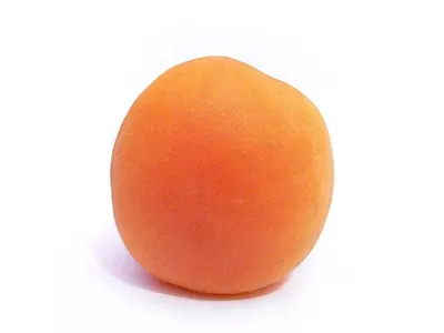 Grapefruit by Huvy Export Import Co., Ltd.