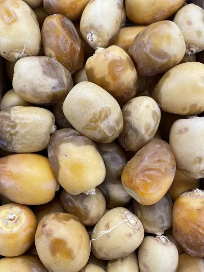 Tumbled Shiny Yellow Pebble Stone by Green Minerals Co., Ltd