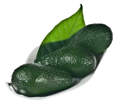 Cucumber Concentrate by Hage Trading Ltd.