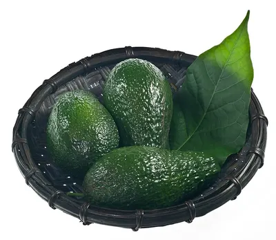 Avocados