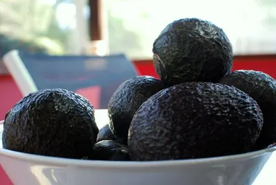 Avocados