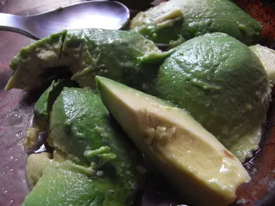 Avocado
