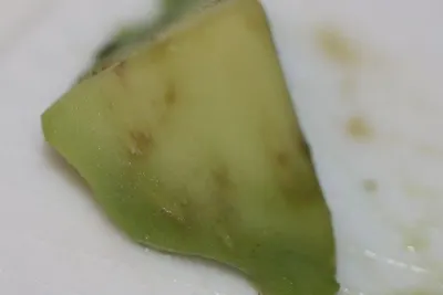 Avocado by Equator Fresh Organic Solutions Ltd