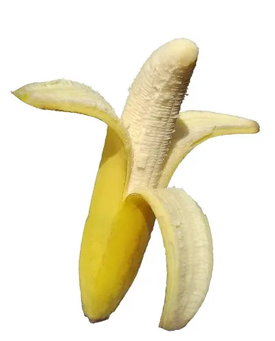 Cavendish Banana by FJR Exports