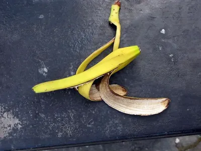 Banana Bench by Cv. Java Mebel Indonesia