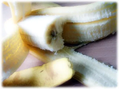 Cavendish Banana