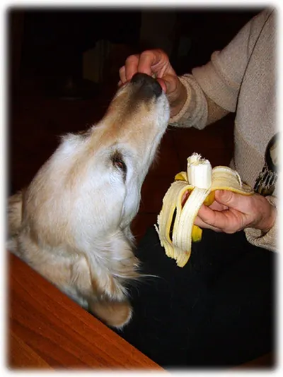 Baby Bananas by Maureen