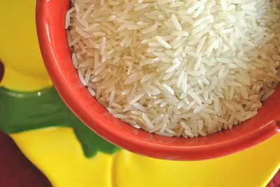 Jasmine Rice