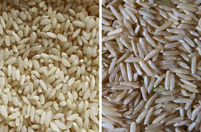 Rice grains