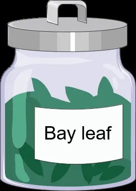 Bay leaf