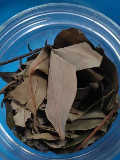 Eucalypto Chips
