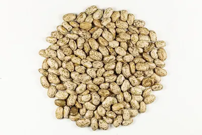 Light Speckled Sugar Kidney Bean by Foshan Mafrika Stock And Supplies