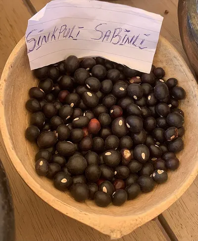 Olive Squalane