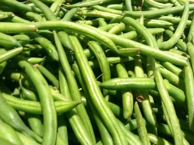 White Pea Beans