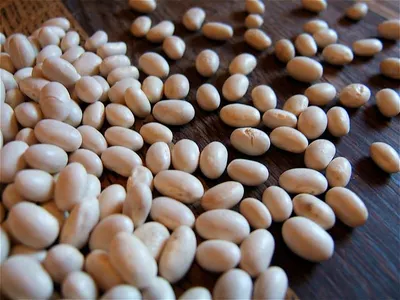 Mung Beans