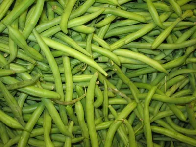 Green Mung Beans