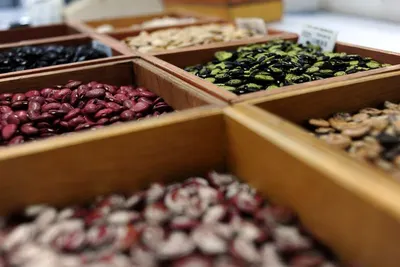 Seed Counter