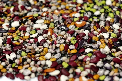 Mix Colorfull Pebbles by Siddheswari Agate