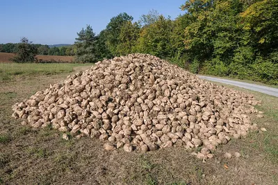 Oversized Gravel