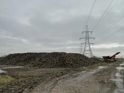 Woven Gabion Mesh Basket