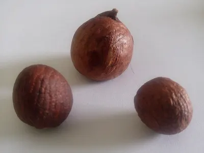 Salak (Salacca- snake skin fruit)