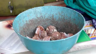Chicken Gizzards