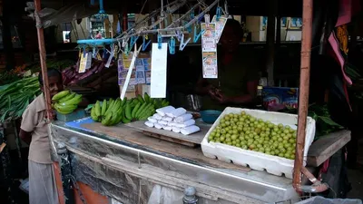 Pickle Stand by Flowglow