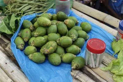 Betel nut
