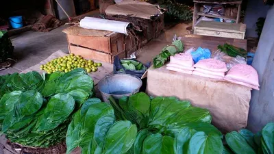 Betel Nut