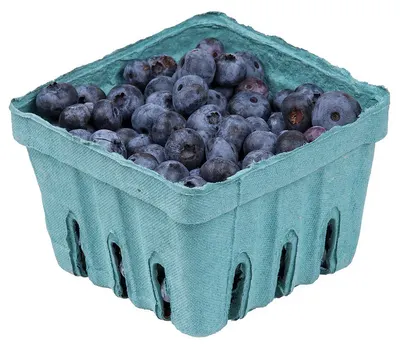 Punnet Blue Wide 1/2 kg by Packknack