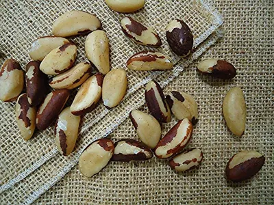 Dried Organic Brazil Nut