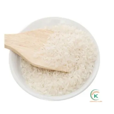 Rice IR 64 pro Boiled Rice