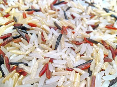 Taiwan Japonica Type Milled Rice 5% Broken