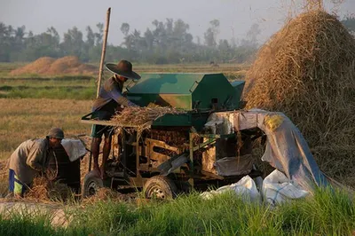 Rice hull balers by E-max Baler Company Ltd