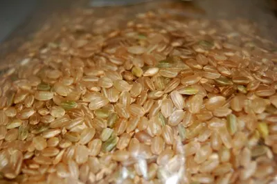 Oats