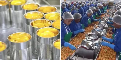 Food And Beberage Packaging Production Line