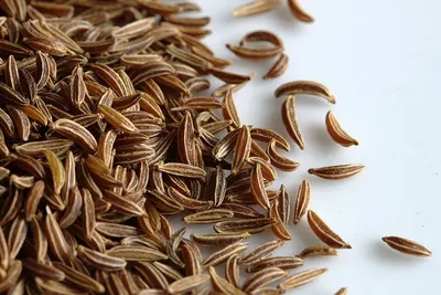 Brown Fennel Seeds by Zenith Impex